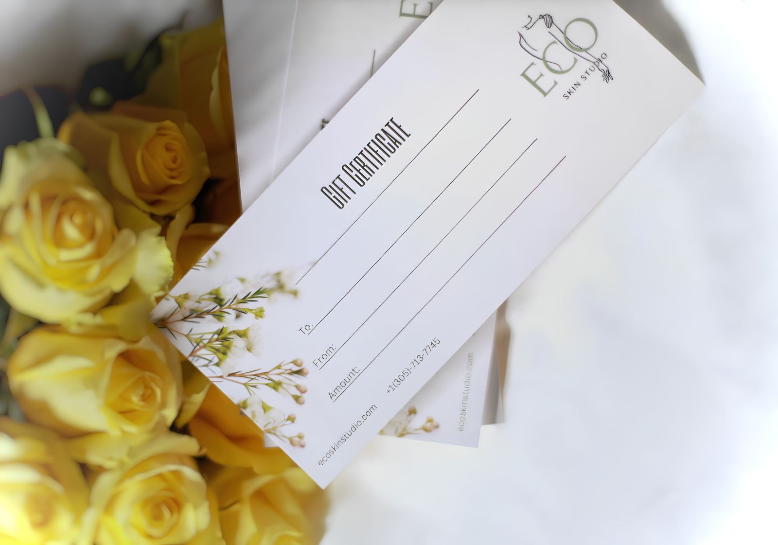 ECO Skin Studio gift certificate